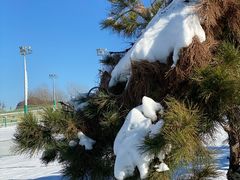 -北京南山滑雪场