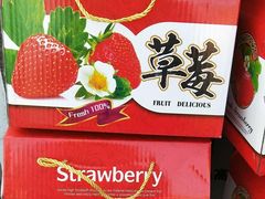 -大自然农场蔬菜草莓采摘园