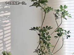 -京东家装(昆明总店)