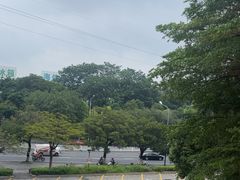 -龙悦湾酒家·八阵鱼生·渔人码头店