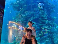 -蓬莱欧乐堡海洋极地世界