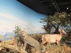 -陕西自然博物馆