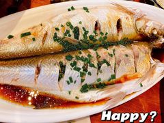清蒸鲜白鱼-西新饭店(城中店)