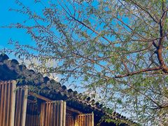 -春风习习