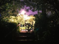 -新江湾城公园