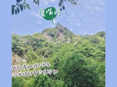-夏霖九天银瀑风景区