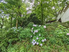 -严子陵钓台(富春江小三峡)