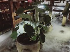 -三只耳火锅(宽窄巷子店)