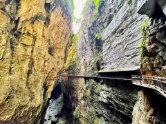 -武陵山森林公园