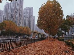 -必胜客(合肥紫云路店)