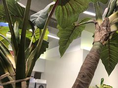 -CoCo都可(崇川万象城店)