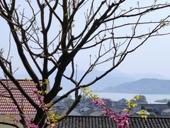 -东钱湖旅游度假区