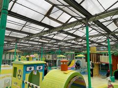 -南宫五洲植物乐园