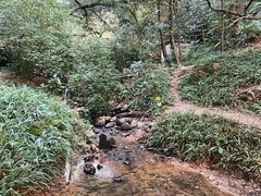 -广州市白云山风景名胜区