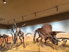 -福建省非物质文化遗产博览苑