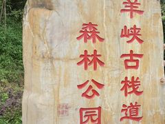 -羚羊峡古栈道森林公园