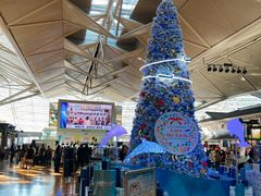 -中部国际机场