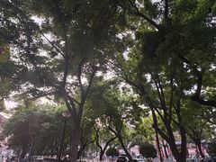 -朱秀英梆梆肉葫芦头(琉璃街店)