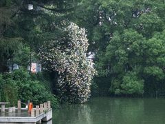 -南通濠河风景名胜区