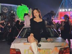 -巨鹏飞梦幻海岸