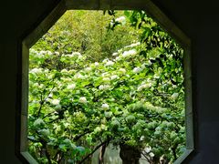 -惠山古镇·寄畅园