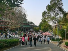 -神光山国家森林公园