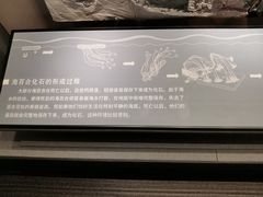 -贵州省地质博物馆