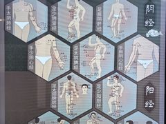 -广东中医药博物馆