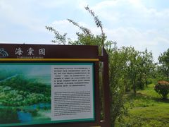 -南湖湿地公园