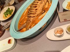 -阿五黄河大鲤鱼(英协路店)