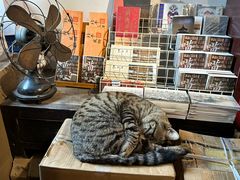 -正阳书局(西四南大街店)