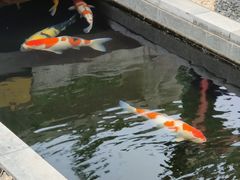 -西安市广仁寺
