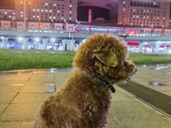 -下沉广场(羊坊店街道)