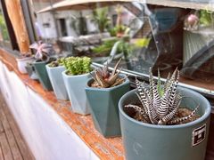 -素心小筑(后沙裕镇店)