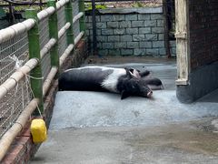 -青青世界