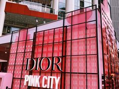 -Dior迪奥(上海世茂广场店)