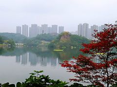 -重庆彩云湖湿地公园
