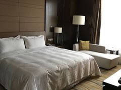 -扬州绿地铂骊酒店
