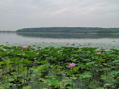 -丁香湖公园
