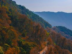 -广州市石门国家森林公园