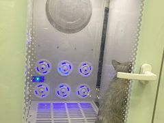 -总动员动物医院(宝丰院店)