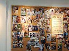 -翊宠yipet猫狗购宠庄园