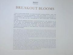 -德基艺术博物馆