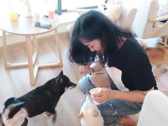 -柴犬小屋·柴餐厅·狗咖食堂(金鼎广场店)