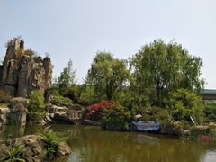 -秀丽东方