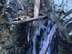 -凤凰山国家森林公园