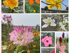-新地休闲农场