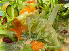 紫光大拌菜-紫光园(顺义店)