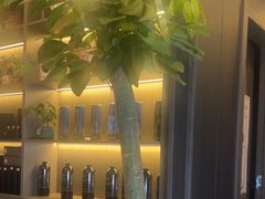 -鹿栖.精油SPA(金山世纪城店)