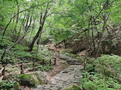 -三块石国家森林公园